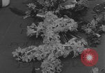Image of General Charles de Gaulle lay wreath Tomb of the Unknown Warrior  Paris France, 1944, second 54 stock footage video 65675079506
