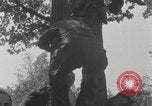 Image of General Charles de Gaulle Paris France, 1944, second 15 stock footage video 65675079511