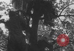 Image of General Charles de Gaulle Paris France, 1944, second 22 stock footage video 65675079511