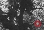 Image of General Charles de Gaulle Paris France, 1944, second 24 stock footage video 65675079511