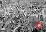 Image of Japanese Shinyo suicide motorboat Kerama Islands Pacific Ocean, 1945, second 7 stock footage video 65675079536