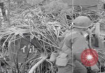 Image of Japanese Shinyo suicide motorboat Kerama Islands Pacific Ocean, 1945, second 8 stock footage video 65675079536