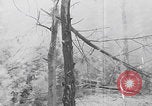Image of Japanese Shinyo suicide motorboat Kerama Islands Pacific Ocean, 1945, second 31 stock footage video 65675079536