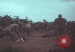 Image of Operation Wallowa US 1st Brigade 7th Cavalry walking Vietnam, 1967, second 21 stock footage video 65675079543