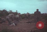 Image of Operation Wallowa US 1st Brigade 7th Cavalry walking Vietnam, 1967, second 22 stock footage video 65675079543