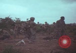Image of Operation Wallowa US 1st Brigade 7th Cavalry walking Vietnam, 1967, second 24 stock footage video 65675079543