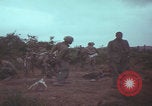 Image of Operation Wallowa US 1st Brigade 7th Cavalry walking Vietnam, 1967, second 28 stock footage video 65675079543