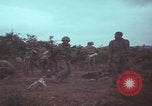 Image of Operation Wallowa US 1st Brigade 7th Cavalry walking Vietnam, 1967, second 29 stock footage video 65675079543