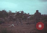 Image of Operation Wallowa US 1st Brigade 7th Cavalry walking Vietnam, 1967, second 30 stock footage video 65675079543