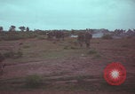 Image of Operation Wallowa US 1st Brigade 7th Cavalry walking Vietnam, 1967, second 62 stock footage video 65675079543