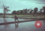 Image of US 1st Brigade 7th Cavalry soldiers Operation Wallowa Vietnam, 1967, second 50 stock footage video 65675079544