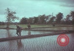 Image of US 1st Brigade 7th Cavalry soldiers Operation Wallowa Vietnam, 1967, second 51 stock footage video 65675079544