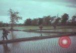 Image of US 1st Brigade 7th Cavalry soldiers Operation Wallowa Vietnam, 1967, second 53 stock footage video 65675079544