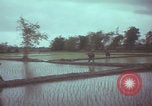 Image of US 1st Brigade 7th Cavalry soldiers Operation Wallowa Vietnam, 1967, second 54 stock footage video 65675079544