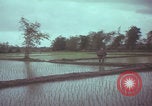 Image of US 1st Brigade 7th Cavalry soldiers Operation Wallowa Vietnam, 1967, second 55 stock footage video 65675079544
