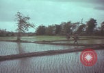 Image of US 1st Brigade 7th Cavalry soldiers Operation Wallowa Vietnam, 1967, second 56 stock footage video 65675079544