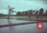 Image of US 1st Brigade 7th Cavalry soldiers Operation Wallowa Vietnam, 1967, second 57 stock footage video 65675079544