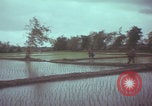Image of US 1st Brigade 7th Cavalry soldiers Operation Wallowa Vietnam, 1967, second 58 stock footage video 65675079544