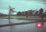Image of US 1st Brigade 7th Cavalry soldiers Operation Wallowa Vietnam, 1967, second 59 stock footage video 65675079544
