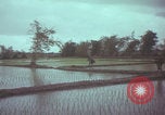Image of US 1st Brigade 7th Cavalry soldiers Operation Wallowa Vietnam, 1967, second 60 stock footage video 65675079544