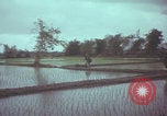 Image of US 1st Brigade 7th Cavalry soldiers Operation Wallowa Vietnam, 1967, second 61 stock footage video 65675079544
