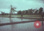 Image of US 1st Brigade 7th Cavalry soldiers Operation Wallowa Vietnam, 1967, second 62 stock footage video 65675079544