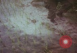 Image of Vietnamese villagers with US soldiers Vietnam, 1967, second 9 stock footage video 65675079546