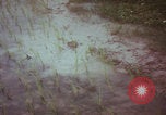 Image of Vietnamese villagers with US soldiers Vietnam, 1967, second 10 stock footage video 65675079546