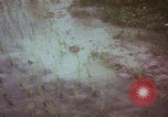 Image of Vietnamese villagers with US soldiers Vietnam, 1967, second 11 stock footage video 65675079546