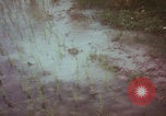 Image of Vietnamese villagers with US soldiers Vietnam, 1967, second 12 stock footage video 65675079546