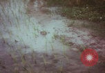 Image of Vietnamese villagers with US soldiers Vietnam, 1967, second 14 stock footage video 65675079546