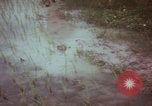 Image of Vietnamese villagers with US soldiers Vietnam, 1967, second 15 stock footage video 65675079546