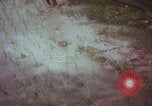 Image of Vietnamese villagers with US soldiers Vietnam, 1967, second 19 stock footage video 65675079546