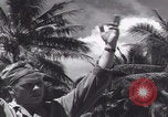Image of F4U Corsair pilot cockpit Espiritu Santo New Hebrides Islands, 1943, second 21 stock footage video 65675079552
