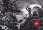 Image of F4U Corsair pilot cockpit Espiritu Santo New Hebrides Islands, 1943, second 22 stock footage video 65675079552