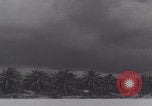 Image of WW2 Espiritu Santo aircraft taxis take off Espiritu Santo New Hebrides Islands, 1943, second 28 stock footage video 65675079553