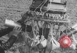 Standbild Japanische Fu-Go-Papierballonbombe United States USA, 1944, aus Sekunde 23 historischem Filmmaterial Videoclip 65675079563