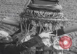 Standbild Japanische Fu-Go-Papierballonbombe United States USA, 1944, aus Sekunde 25 historischem Filmmaterial Videoclip 65675079563