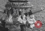 Standbild Japanische Fu-Go-Papierballonbombe United States USA, 1944, aus Sekunde 30 historischem Filmmaterial Videoclip 65675079563