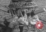 Standbild Japanische Fu-Go-Papierballonbombe United States USA, 1944, aus Sekunde 31 historischem Filmmaterial Videoclip 65675079563