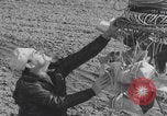 Standbild Japanische Fu-Go-Papierballonbombe United States USA, 1944, aus Sekunde 40 historischem Filmmaterial Videoclip 65675079563