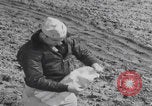 Standbild Japanische Fu-Go-Papierballonbombe United States USA, 1944, aus Sekunde 50 historischem Filmmaterial Videoclip 65675079563