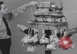 Image of Japanese Fu-Go paper balloon bomb brain center United States USA, 1944, second 26 stock footage video 65675079564