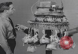 Image of Japanese Fu-Go paper balloon bomb brain center United States USA, 1944, second 60 stock footage video 65675079564