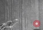 Standbild Demonstration der Afroamerikaner Chicago Illinois USA, 1970, aus Sekunde 42 historischem Filmmaterial Videoclip 65675079568