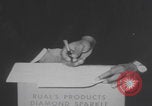 Image of African American people working different industries Chicago Illinois USA, 1970, second 8 stock footage video 65675079571