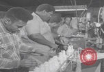 Image of African American people working different industries Chicago Illinois USA, 1970, second 41 stock footage video 65675079571