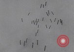 Standbild Bombenangriff der USAAF auf eine B-24 Liberator Europa, 1943, aus Sekunde 29 historischem Filmmaterial Videoclip 65675079577