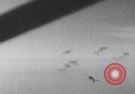 Standbild Bombenangriff der USAAF auf eine B-24 Liberator Europa, 1943, aus Sekunde 61 historischem Filmmaterial Videoclip 65675079577
