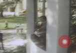 Immagine di I Klan Uniti d'America marciano verso Mobile Alabama Mobile Alabama USA, 1977, secondo 40 filmato di repertorio 65675079582